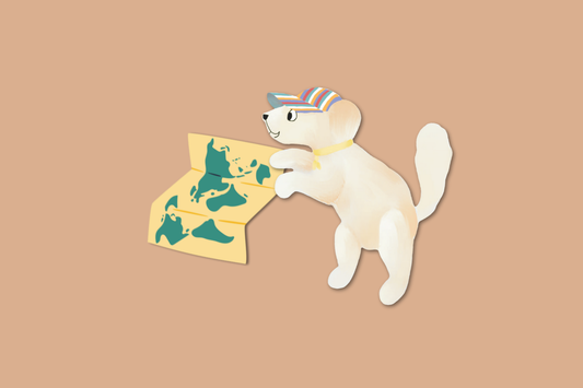 The Magic of Maps: Why We Use Real Places in Our Picture Books